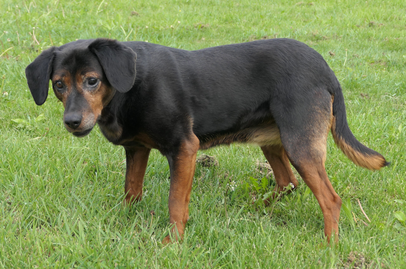 Mathilda(2)