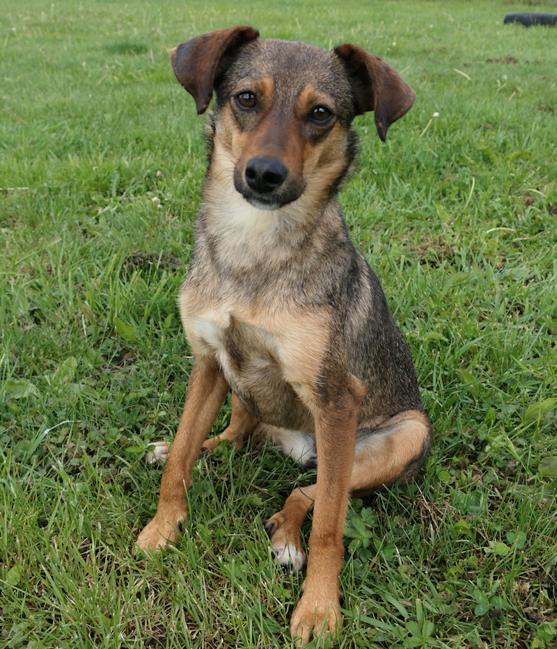 Tasha(3)