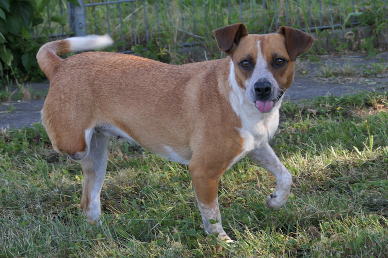 Lotti(2)