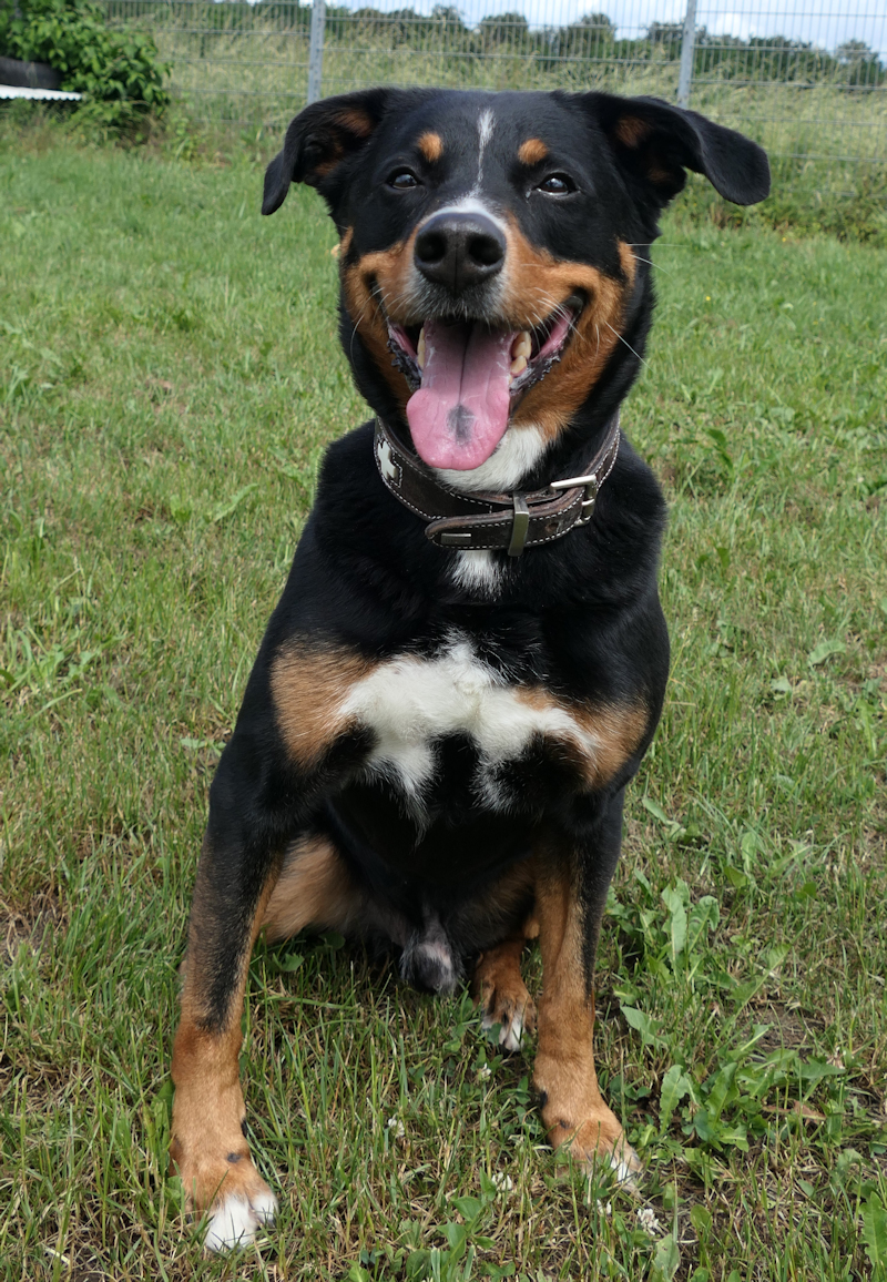 caruso(3)
