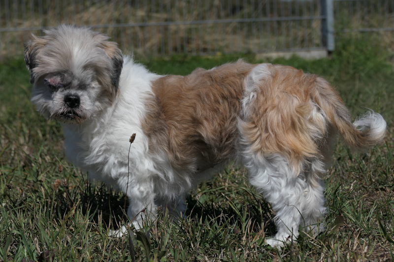 Hanne(2)