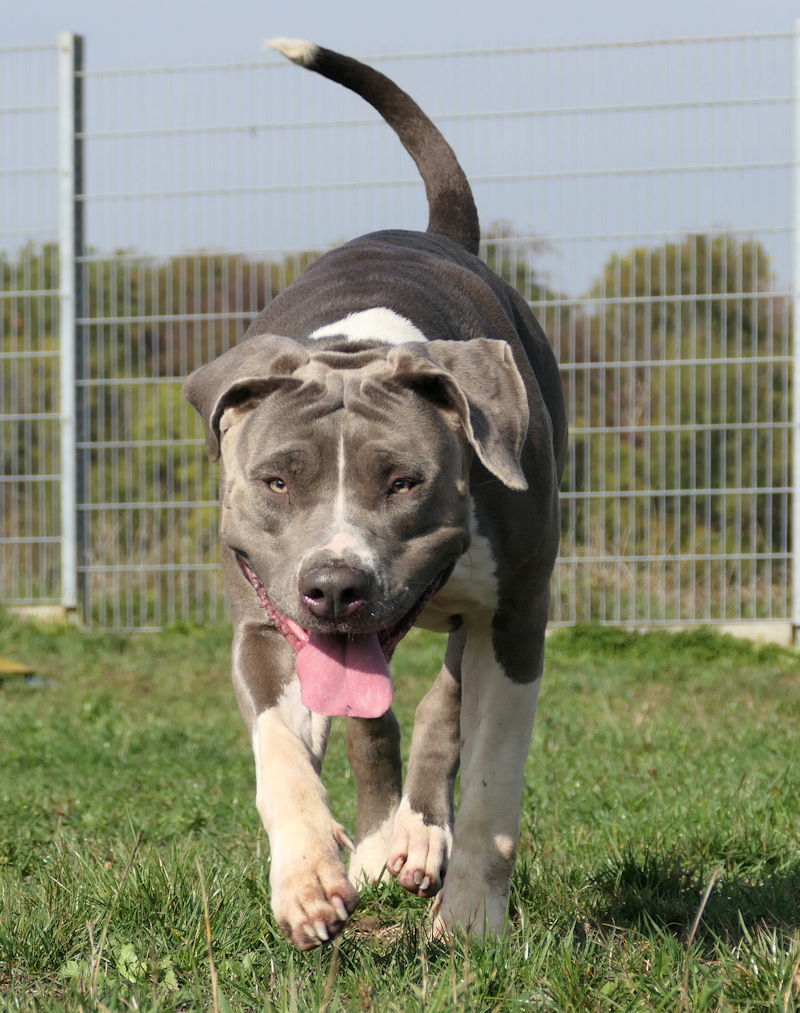 Zira(4)